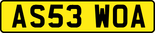 AS53WOA