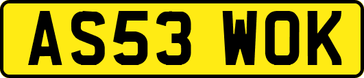 AS53WOK