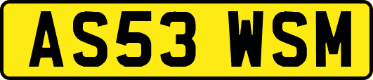 AS53WSM