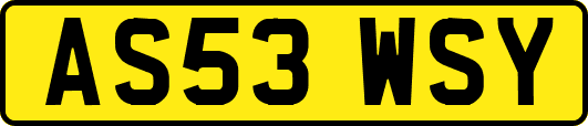 AS53WSY