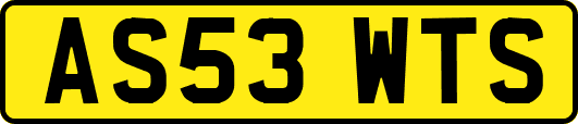 AS53WTS