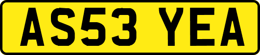 AS53YEA