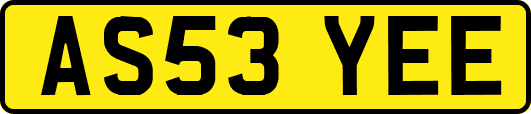 AS53YEE