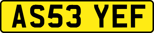 AS53YEF