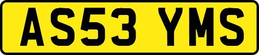 AS53YMS