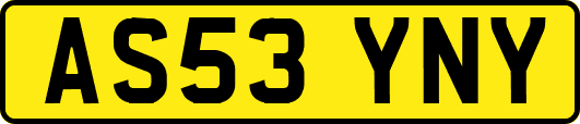 AS53YNY