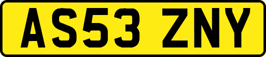 AS53ZNY