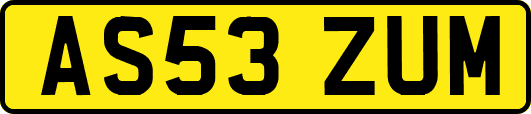 AS53ZUM