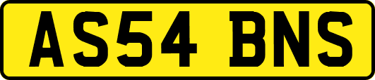 AS54BNS
