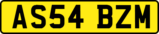 AS54BZM