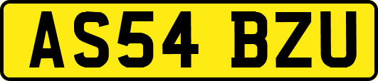 AS54BZU