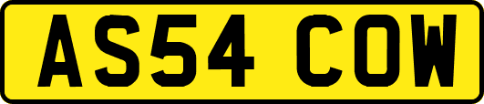 AS54COW