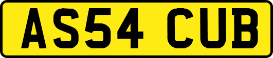 AS54CUB