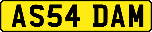 AS54DAM