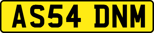 AS54DNM