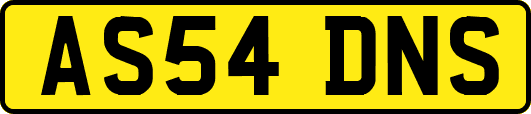 AS54DNS
