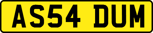 AS54DUM