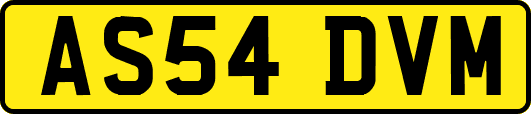 AS54DVM