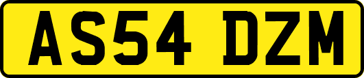 AS54DZM