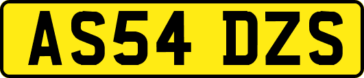 AS54DZS
