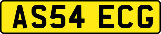 AS54ECG