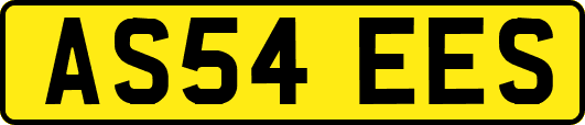 AS54EES