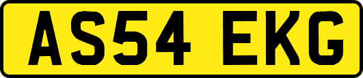 AS54EKG