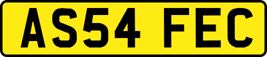 AS54FEC