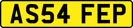 AS54FEP