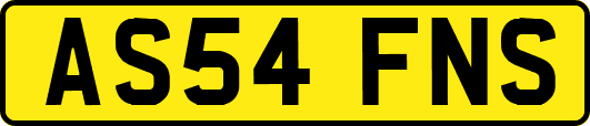 AS54FNS