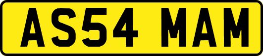 AS54MAM