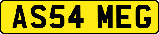 AS54MEG