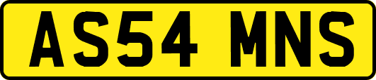 AS54MNS