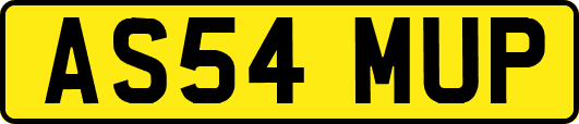 AS54MUP