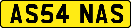 AS54NAS
