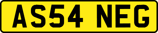 AS54NEG