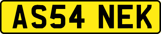 AS54NEK