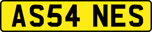 AS54NES