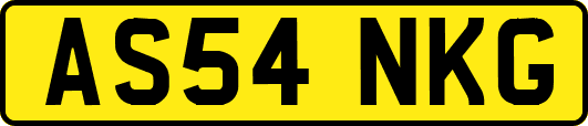 AS54NKG