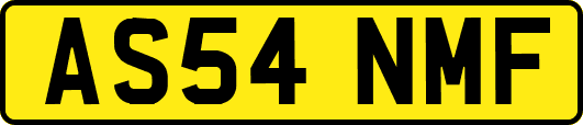 AS54NMF
