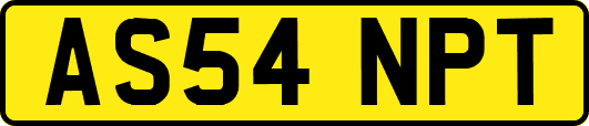 AS54NPT