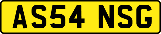 AS54NSG