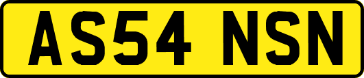 AS54NSN