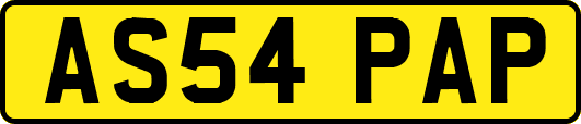 AS54PAP