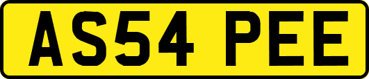 AS54PEE