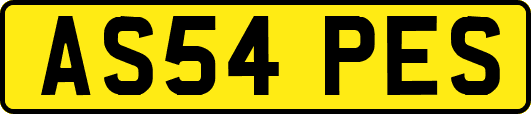 AS54PES