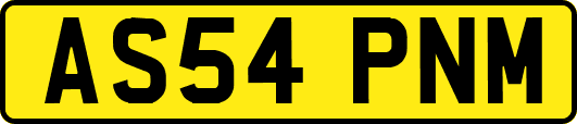 AS54PNM