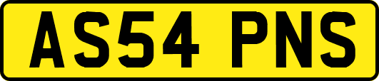 AS54PNS