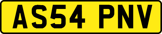 AS54PNV