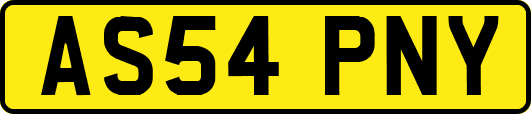 AS54PNY